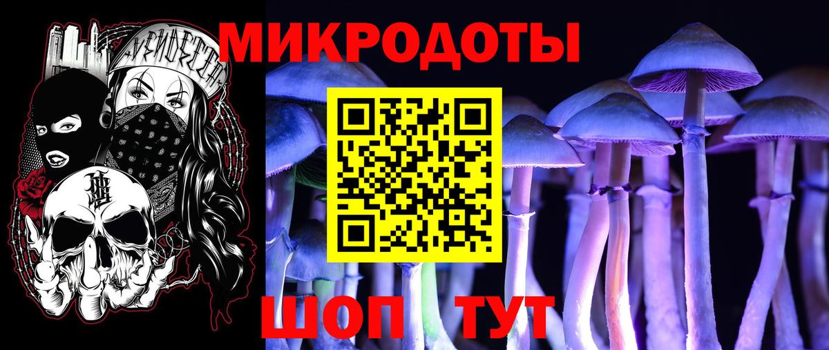 Галлюциногенные грибы ЛСД  Вход с VPN  Галлюциногенные грибы ЛСД  Кемерово 